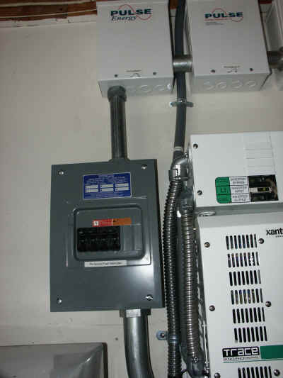 PVGFP.JPG (1968206 bytes)