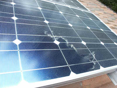 Panels with Pollen.JPG (3636532 bytes)